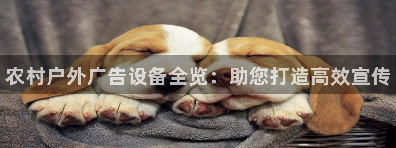 杏宇平台代理多少钱