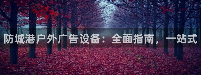 杏宇代理注册