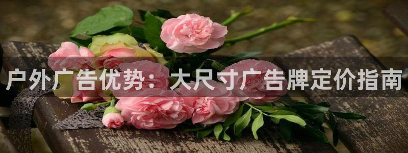 杏宇平台注册地址