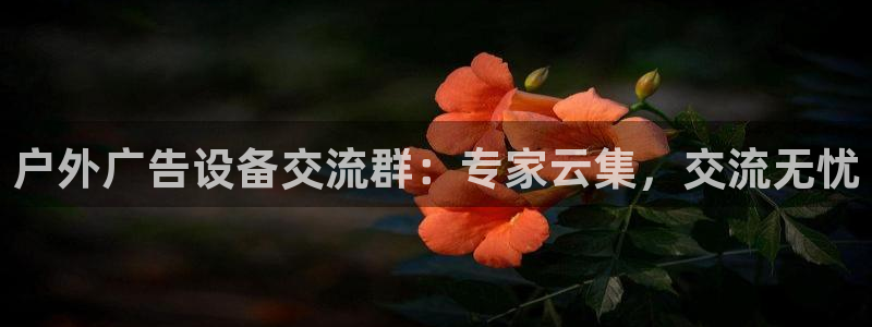 杏宇平台代理怎么样啊
