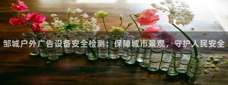 杏宇平台代理怎么样