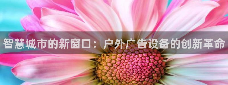 杏宇平台主管