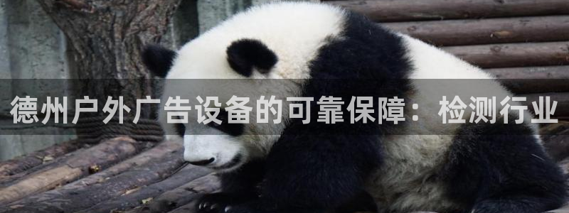 杏宇平台代理多少钱一个
