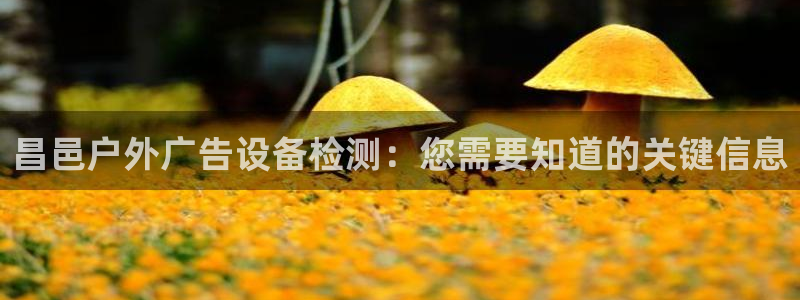 杏宇平台官网注册