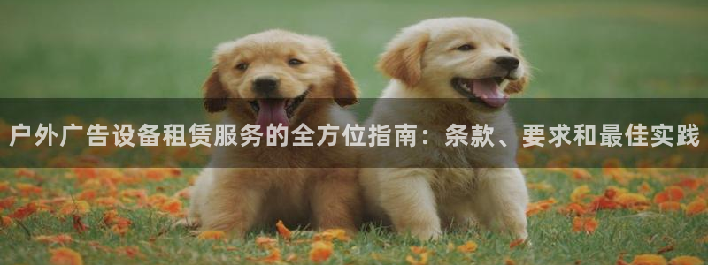 杏宇平台提现为什么这么久呢：户外广告设备租赁服务的全方位指南：条款、要求和最佳实践