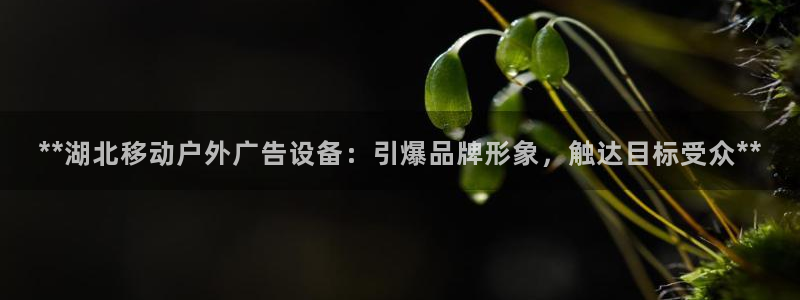 杏宇平台招商：**湖北移动户外广告设备：引爆品牌形象，触达目标受众**