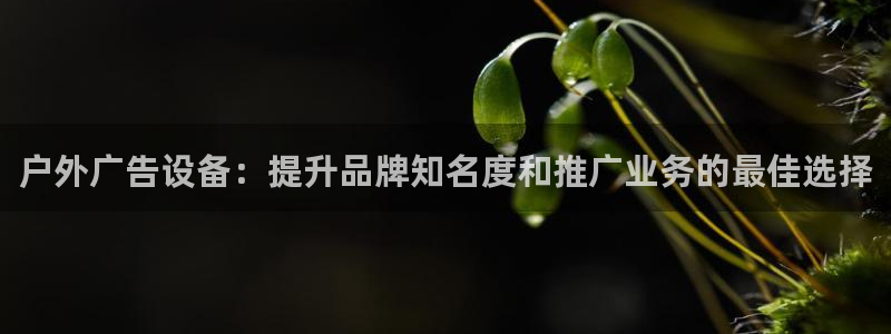杏宇平台代理多少钱一次：户外广告设备：提升品牌知名度和推广业务的最佳选择