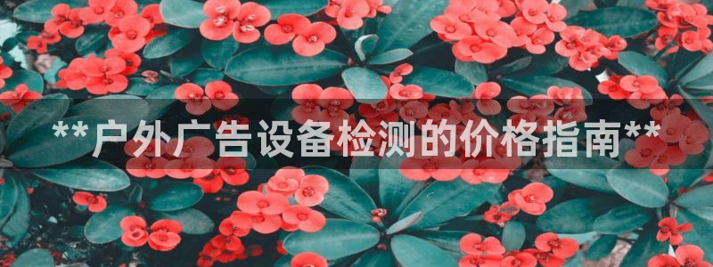杏宇平台代理：**户外广告设备检测的价格指南**