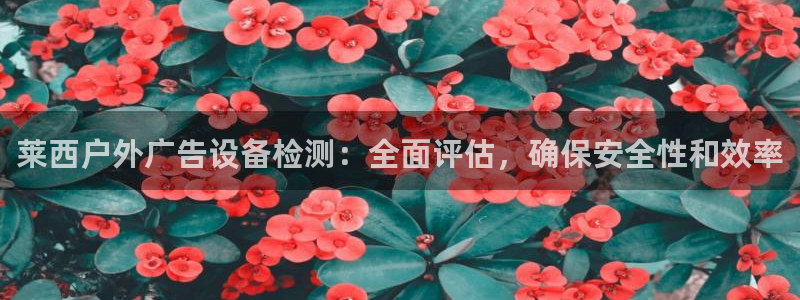 杏宇平台总代理电话：莱西户外广告设备检测：全面评估，确保安全性和效率