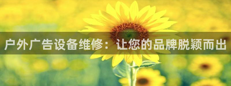 杏宇平台代理怎么样可靠吗：户外广告设备维修：让您的品牌脱颖而出