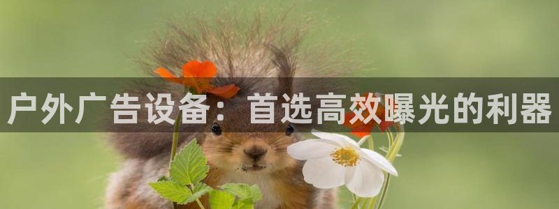 杏宇官方平台官网下载