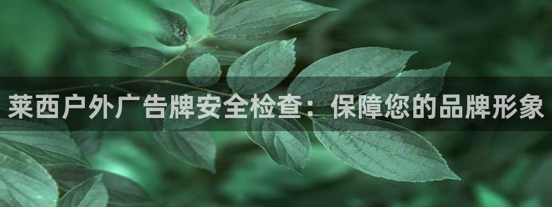 杏宇平台代理多少钱一个
