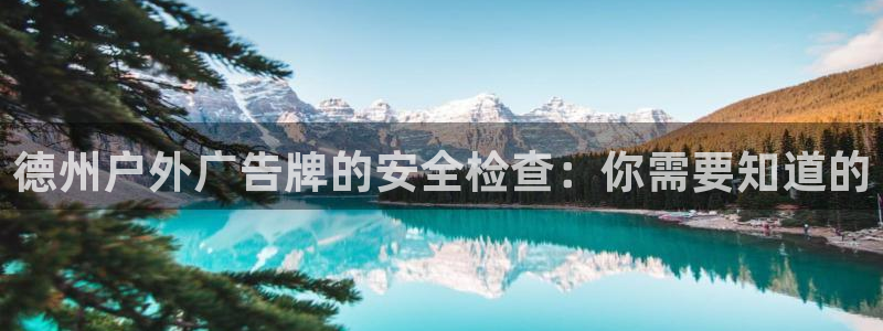 杏宇平台注册地址