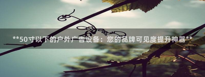杏宇平台招商