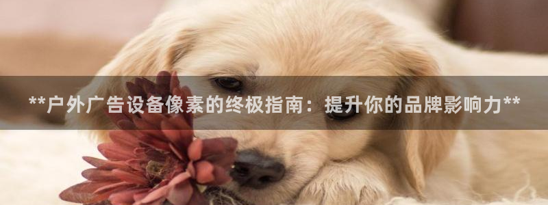 杏宇平台登录步骤是什么：**户外广告设备像素的终极指南：提升你的品牌影响力**