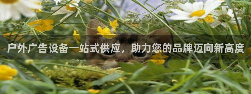 杏宇平台登录步骤是什么：户外广告设备一站式供应，助力您的品牌迈向新高度