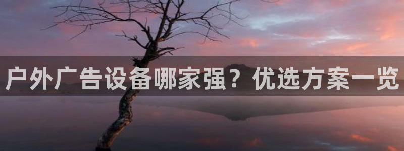 杏宇平台代理