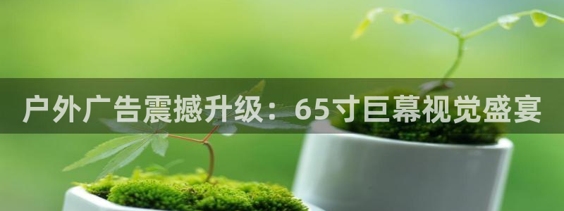 杏宇平台总代理是谁