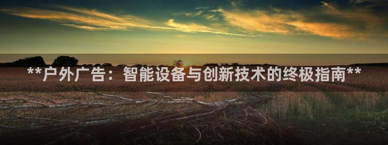 杏宇平台代理怎么赚钱的：**户外广告：智能设备与创新技术的终极指南**