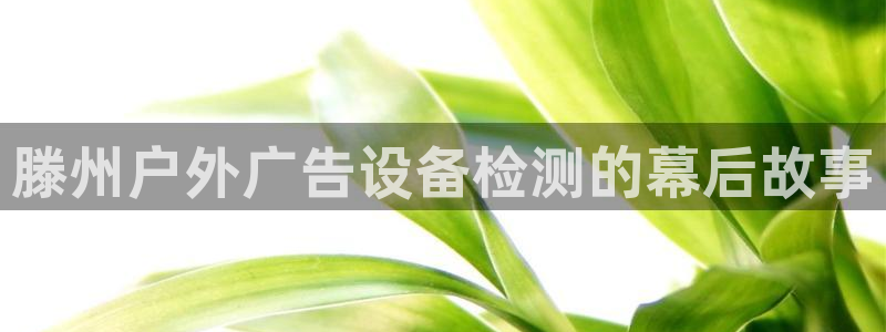 杏宇平台代理怎么赚钱的