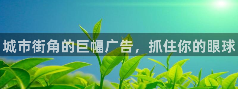 杏宇代理注册