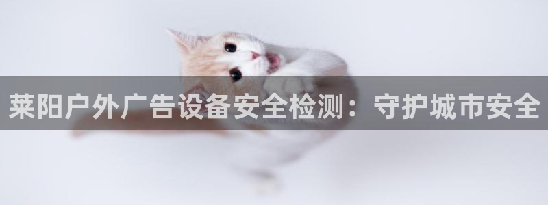 杏宇平台怎么样知乎