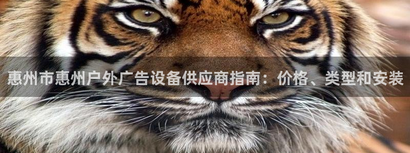 杏宇平台登录步骤图：惠州市惠州户外广告设备供应商指南：价格、类型和安装