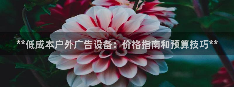 杏宇平台注册地址在哪里：**低成本户外广告设备：价格指南和预算技巧**