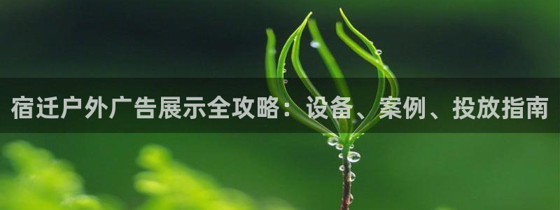 杏宇官方平台官网入口