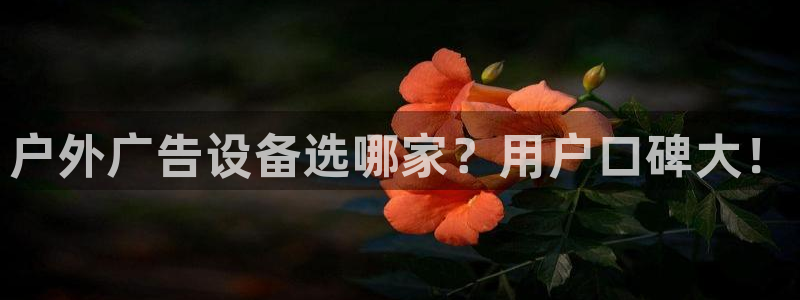 杏宇平台代理多少钱一次