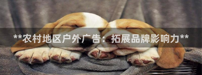 杏宇平台代理多少钱一个月
