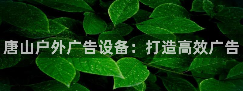 杏宇平台登录步骤是什么：唐山户外广告设备：打造高效广告