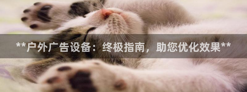 杏宇平台怎么样：**户外广告设备：终极指南，助您优化效果**