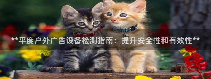杏宇平台注册地址：**平度户外广告设备检测指南：提升安全性和有效性**