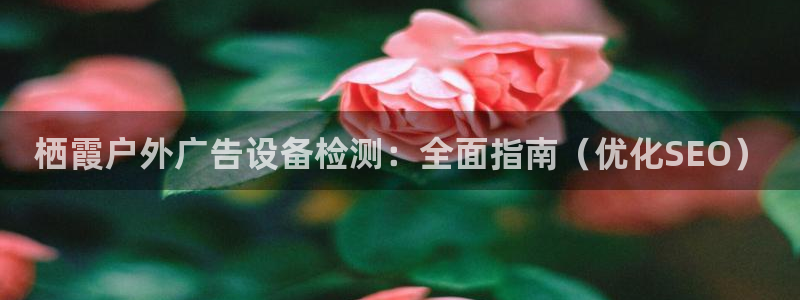 杏宇平台登录步骤是什么：栖霞户外广告设备检测：全面指南（优化SEO）