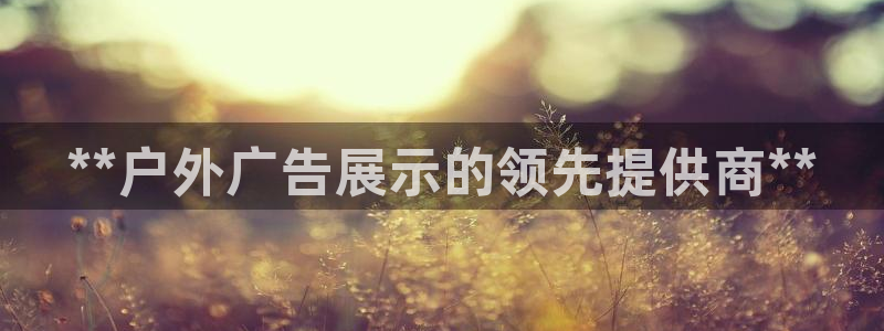 杏宇平台代理怎么样赚钱：**户外广告展示的领先提供商**