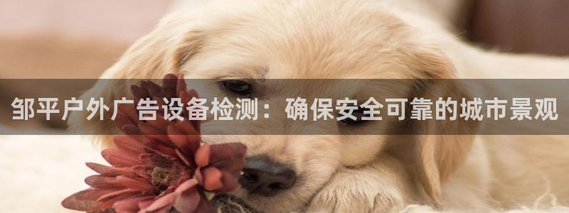 杏宇平台开户
