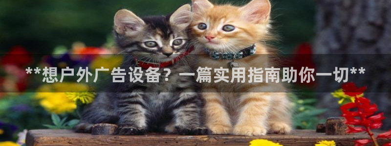 杏宇平台注册登录