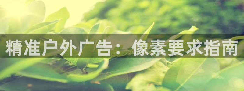 杏宇平台怎么样赚钱