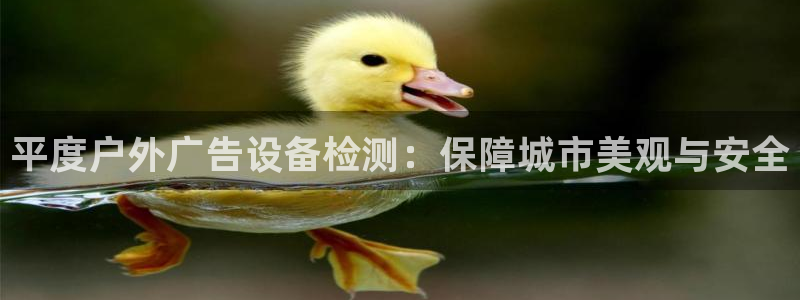 杏宇平台招商电话号码