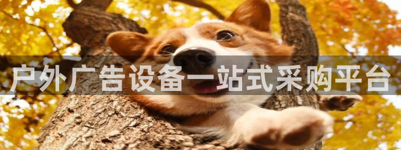 杏宇平台怎么样