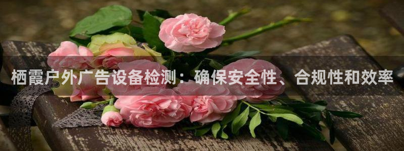 杏宇平台总代理：栖霞户外广告设备检测：确保安全性、合规性和效率