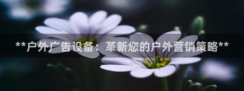 杏宇平台总代理电话：**户外广告设备：革新您的户外营销策略**