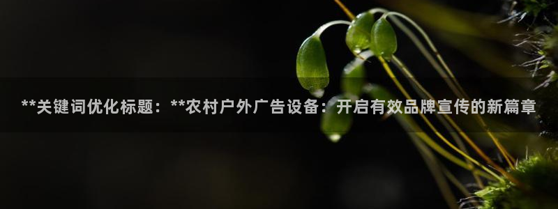 杏宇官方平台官网：**关键词优化标题：**农村户外广告设备：开启有效品牌宣传的新篇章