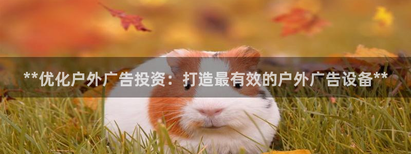 杏宇平台代理怎么样赚钱：**优化户外广告投资：打造最有效的户外广告设备**