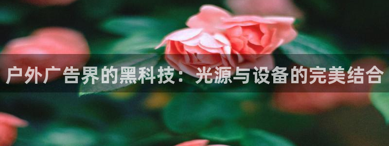 杏宇平台代理多少钱一次