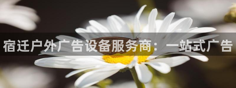 杏宇平台注册地址