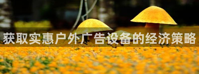 杏宇平台总代理：获取实惠户外广告设备的经济策略