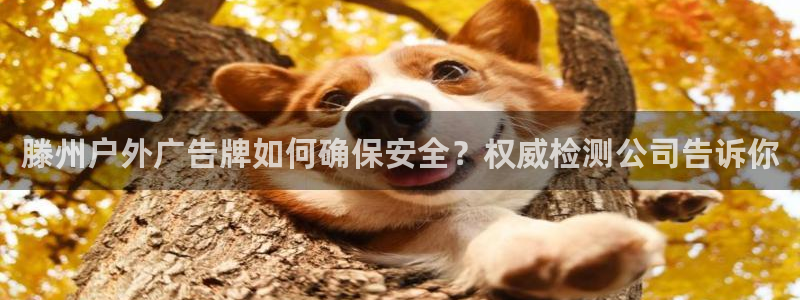 杏宇平台代理怎么赚钱