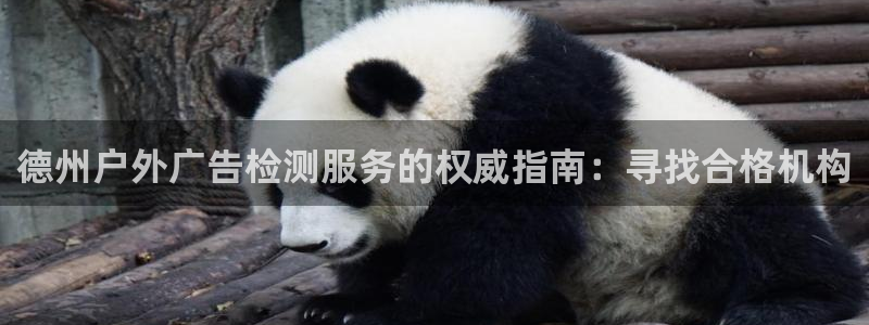 杏宇平台测速链接